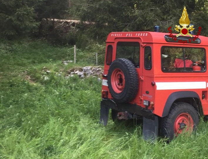 Schiacciato da un albero, muore un 48enne