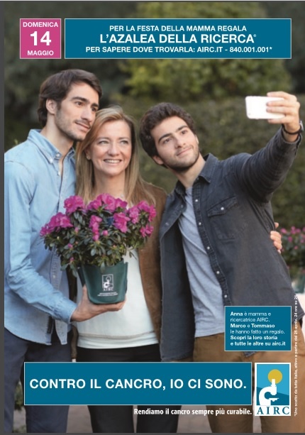 Domani le azalee dell’Airc in piazza, ecco dove