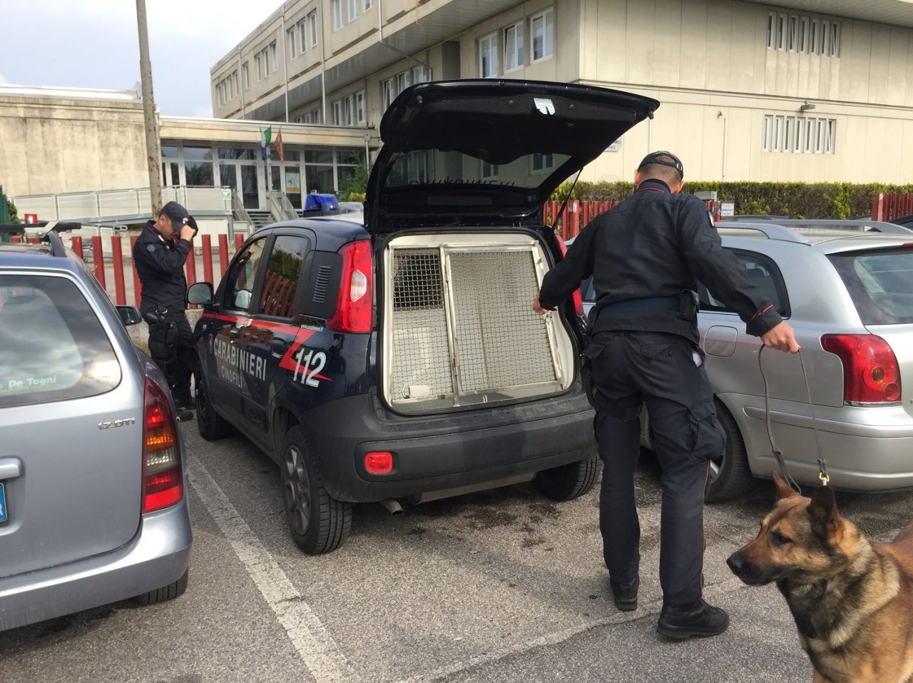 Liceo Medi, terzo controllo anti-droga dei Carabinieri
