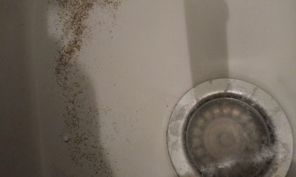 Sabbia e acqua torbida dai rubinetti, ecco la risposta di Acque Veronesi