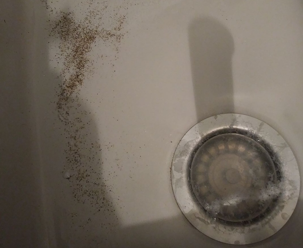 Sabbia e acqua torbida dai rubinetti, ecco la risposta di Acque Veronesi