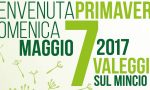 Valeggio, una giornata per l'ambiente