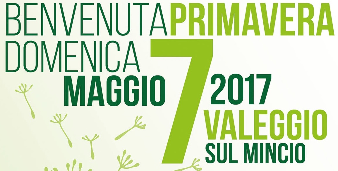 Valeggio, una giornata per l’ambiente