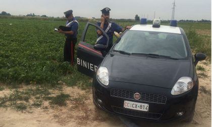 Arrestato uno spacciatore 51enne di Povegliano