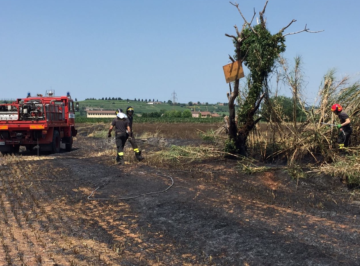 Incendio in via dei Colli, in fumo 300 quintali di orzo