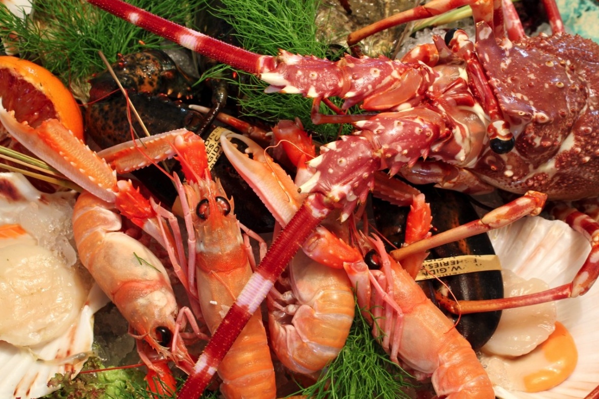 Crostacei vivi in frigo? Ti multiamo, li fai soffrire!