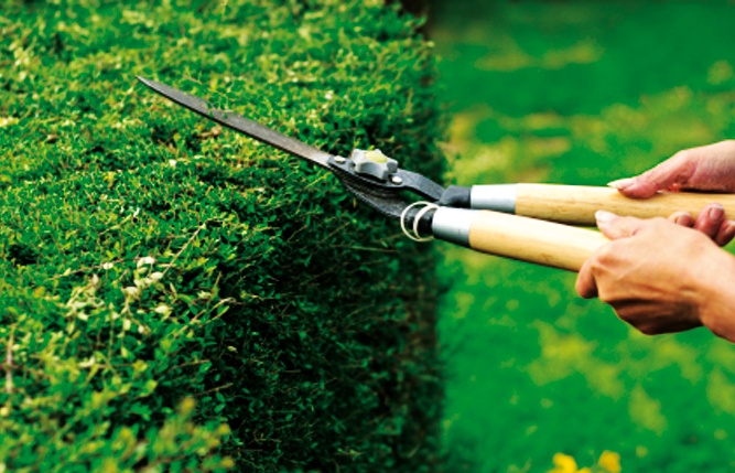 Cura del verde, subito revocato l’appalto