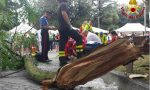 Grosso ramo di un'albero cade su due persone a Garda