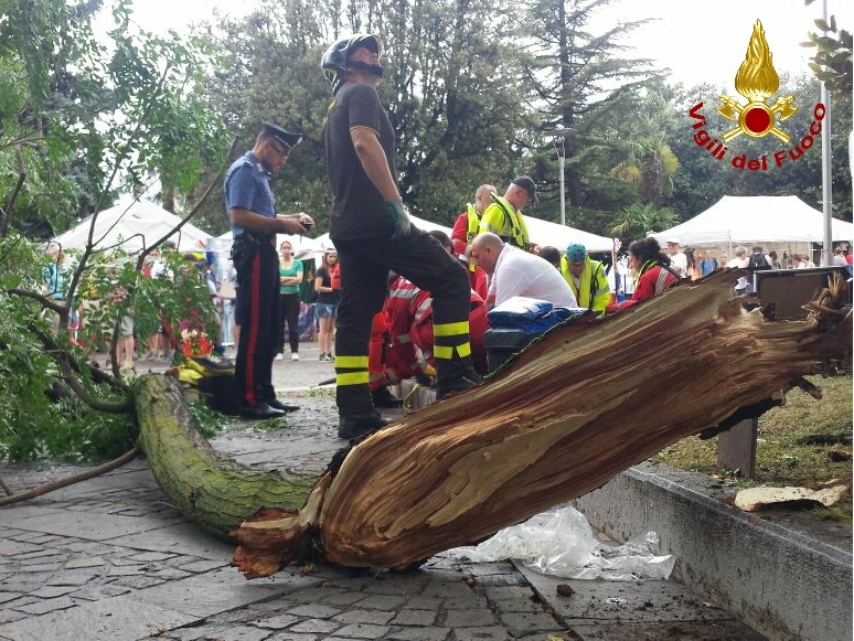 Grosso ramo di un’albero cade su due persone a Garda
