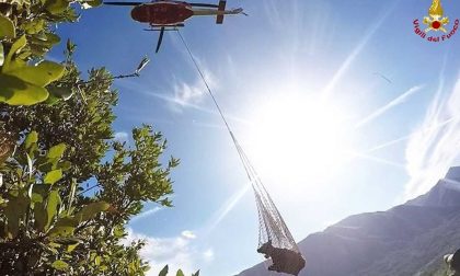 Mucca scivola in un canalone, salvata dai vigili del fuoco