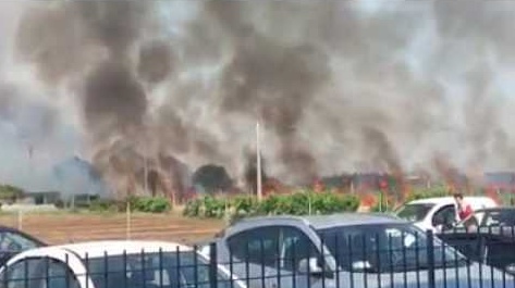 Paura a Caselle, in fiamme un campo di grano