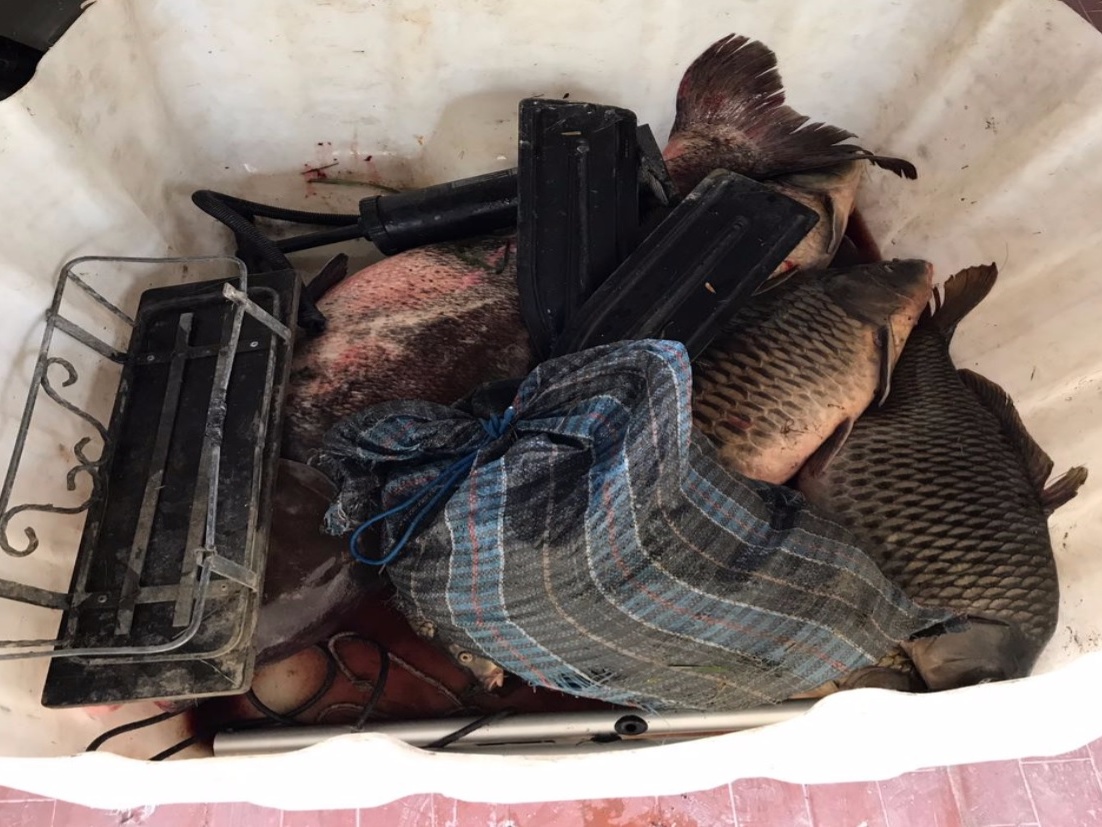 Pescavano carpe stordendole con l’elettricità