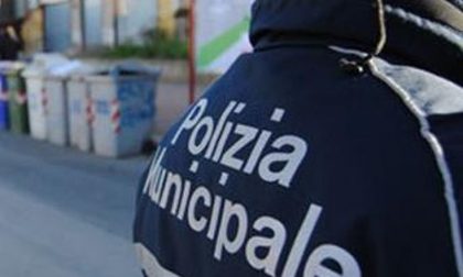 Dà in escandescenze e aggredisce l'agente