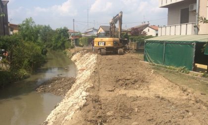 Danni al canale a causa delle nutrie