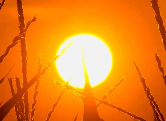 Molto caldo nel fine settimana, ma domenica piogge