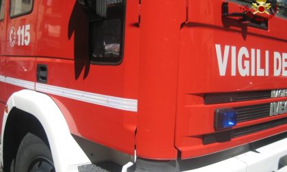 Rischia di affogare in un canale, un uomo la salva