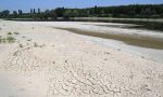 Allarme siccità, Coldiretti Verona: “Terra arida, colture secche, animali sotto stress”