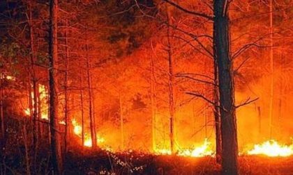 Dichiarato stato di grave pericolo per gli incendi a Verona