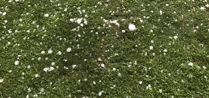 Forte grandinata, paura sul Garda