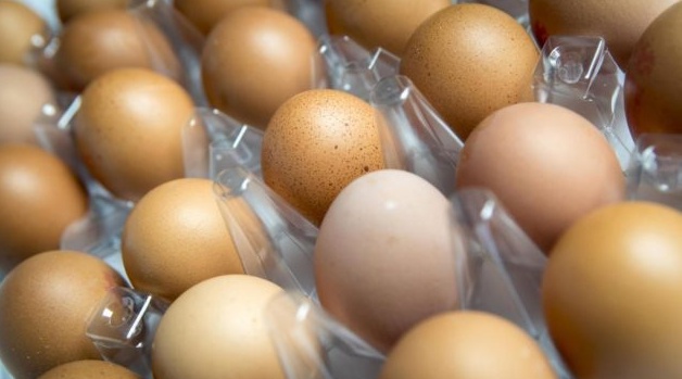 Uova al Fipronil, controlli anche in Veneto