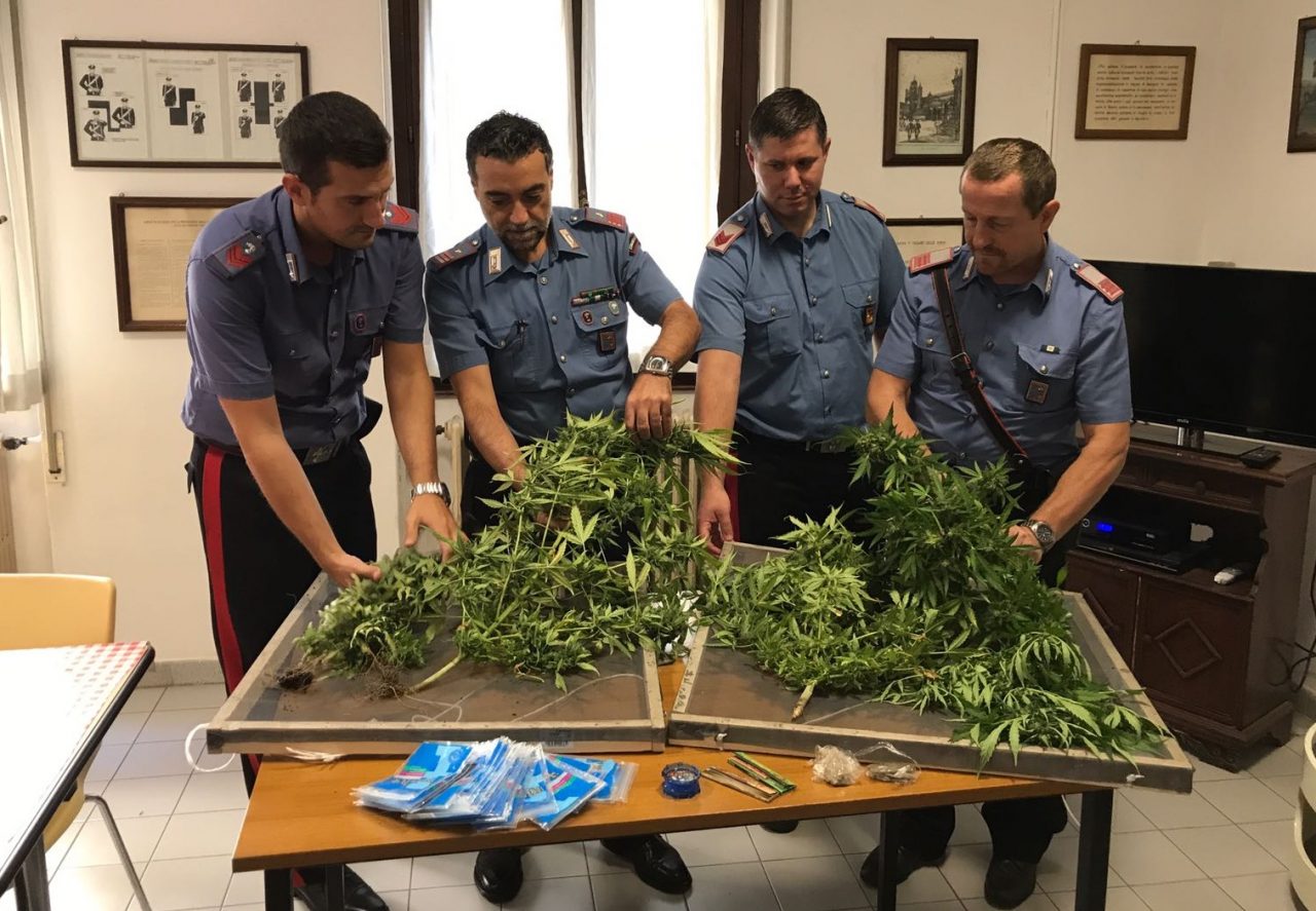 Coltivava marijuana in casa, arrestato