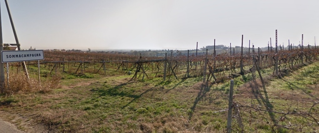 Il Paesaggio di Sommacampagna, Patrimonio Europeo