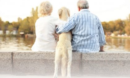 Il cane adatto per un anziano? La risposta a Villafranca
