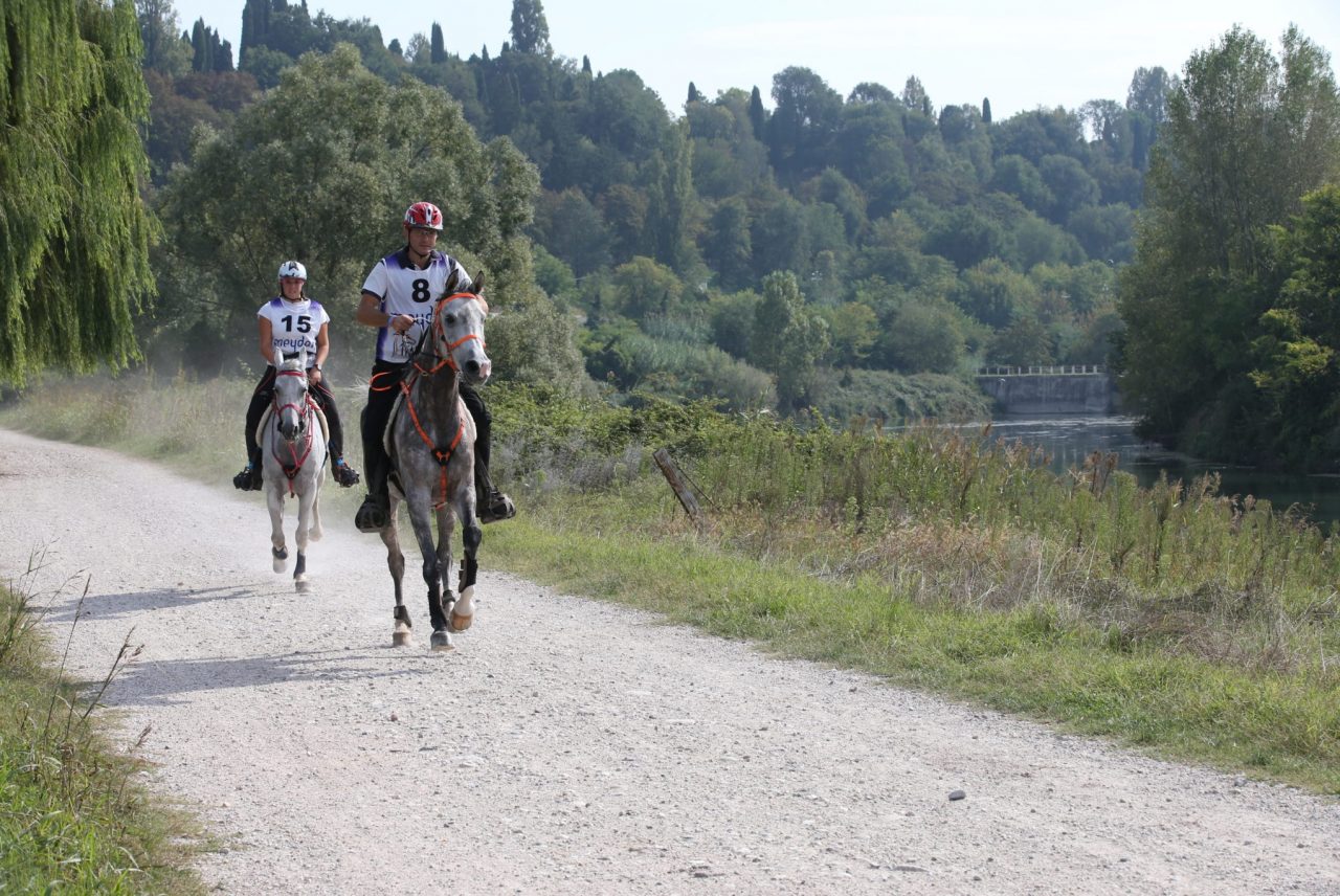 Il mondo a Valeggio per il campionato endurance