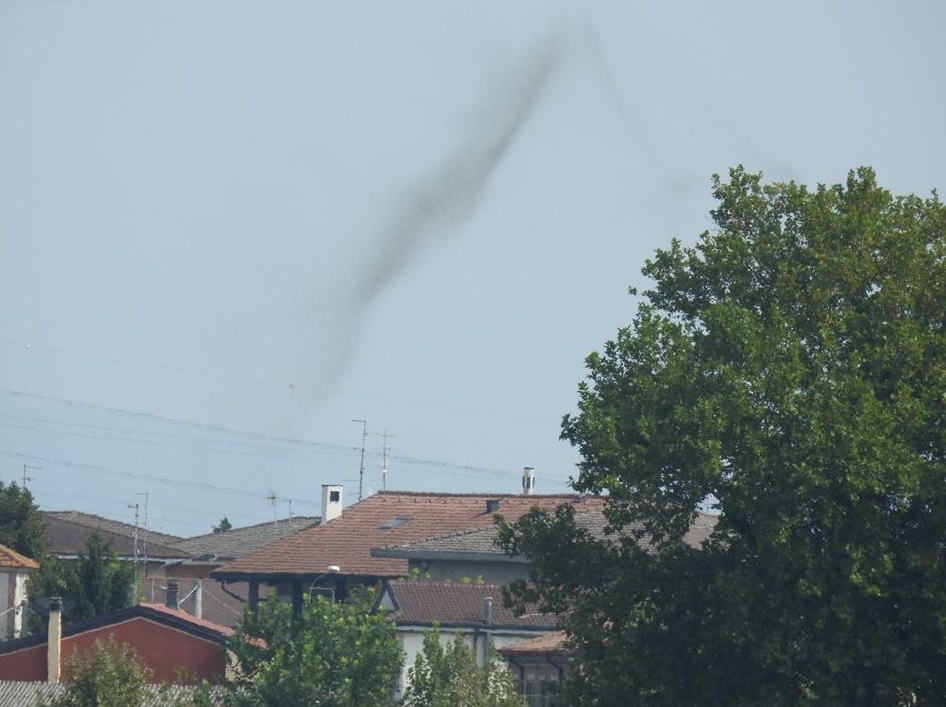 Paese invaso di moscerini, “spettacolo” inatteso