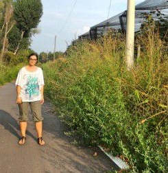 Ponte chiuso: «E noi attraversiamo una selva»