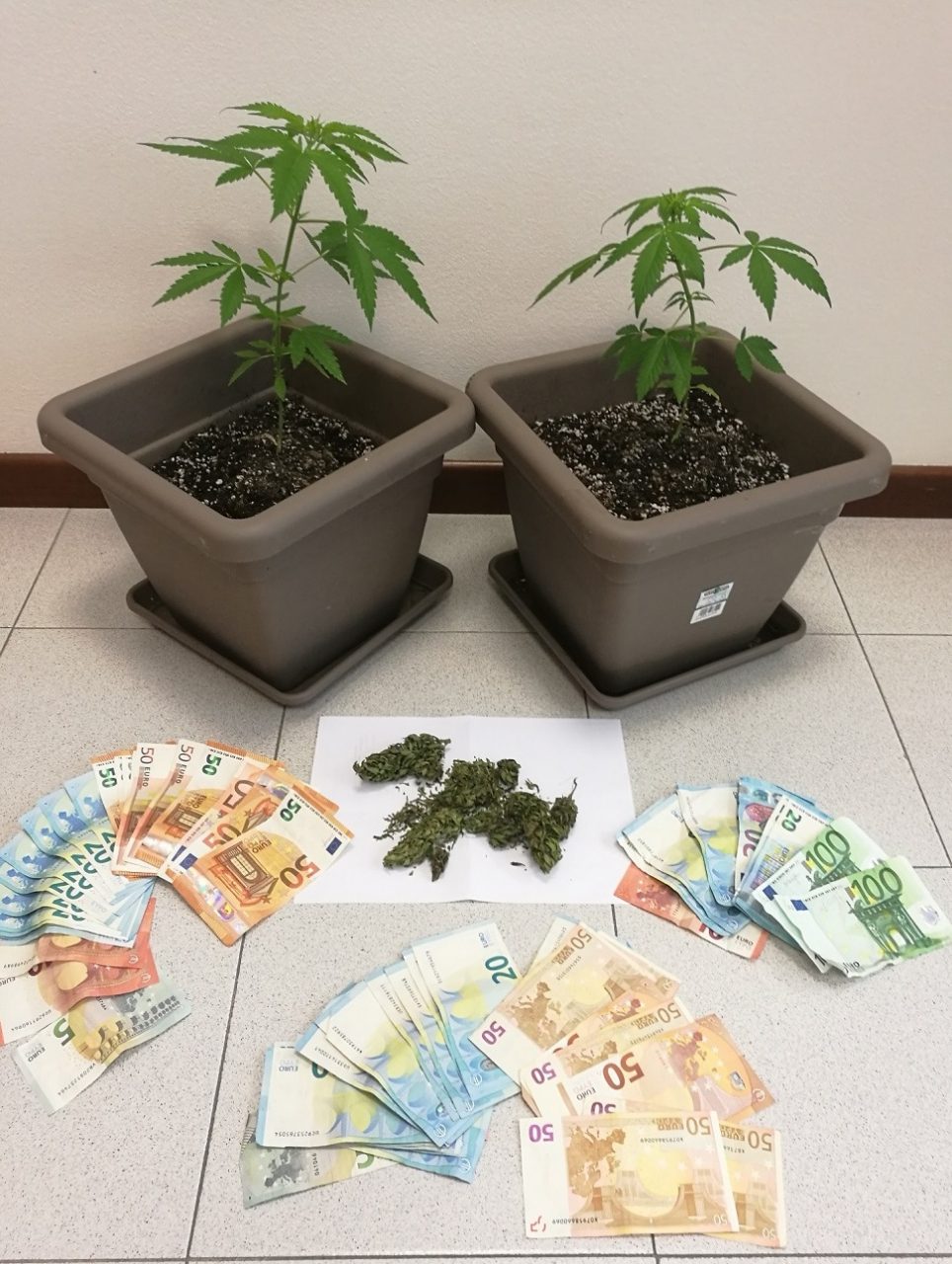 Spaccio di marijuana, denunciati due veronesi