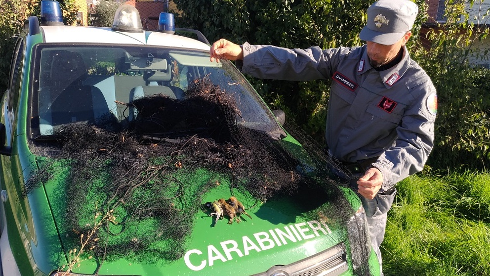 Badia Calavena, sorpreso il bracconiere degli uccellini