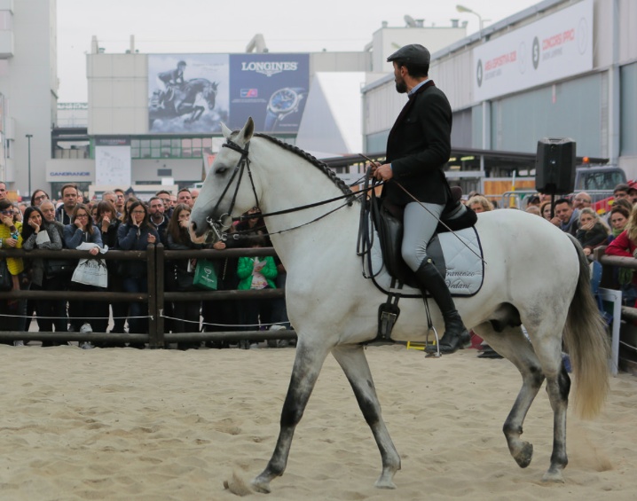 Fieracavalli: 160mila da 63 nazioni a Verona