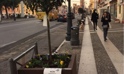 Posizionate le nuove panchine lungo corso Vittorio Emanuele II