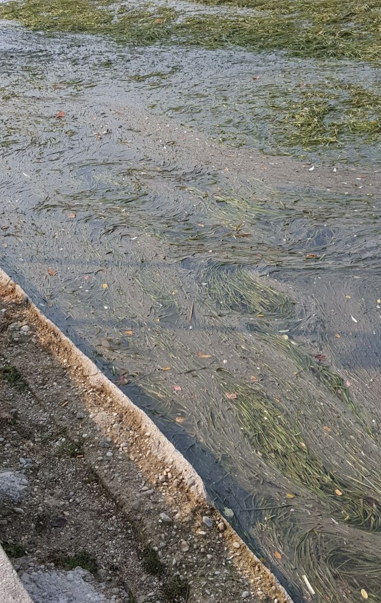 Scarichi fognari nel Mincio, stamattina l’allarme