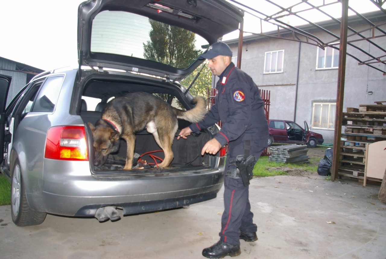 Scoperti otto abusivi a Concamarise