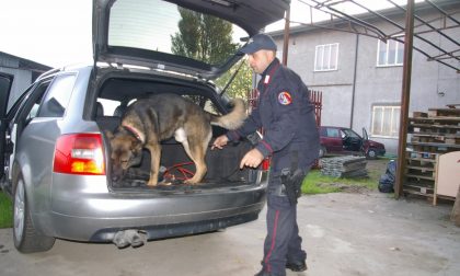 Scoperti otto abusivi a Concamarise
