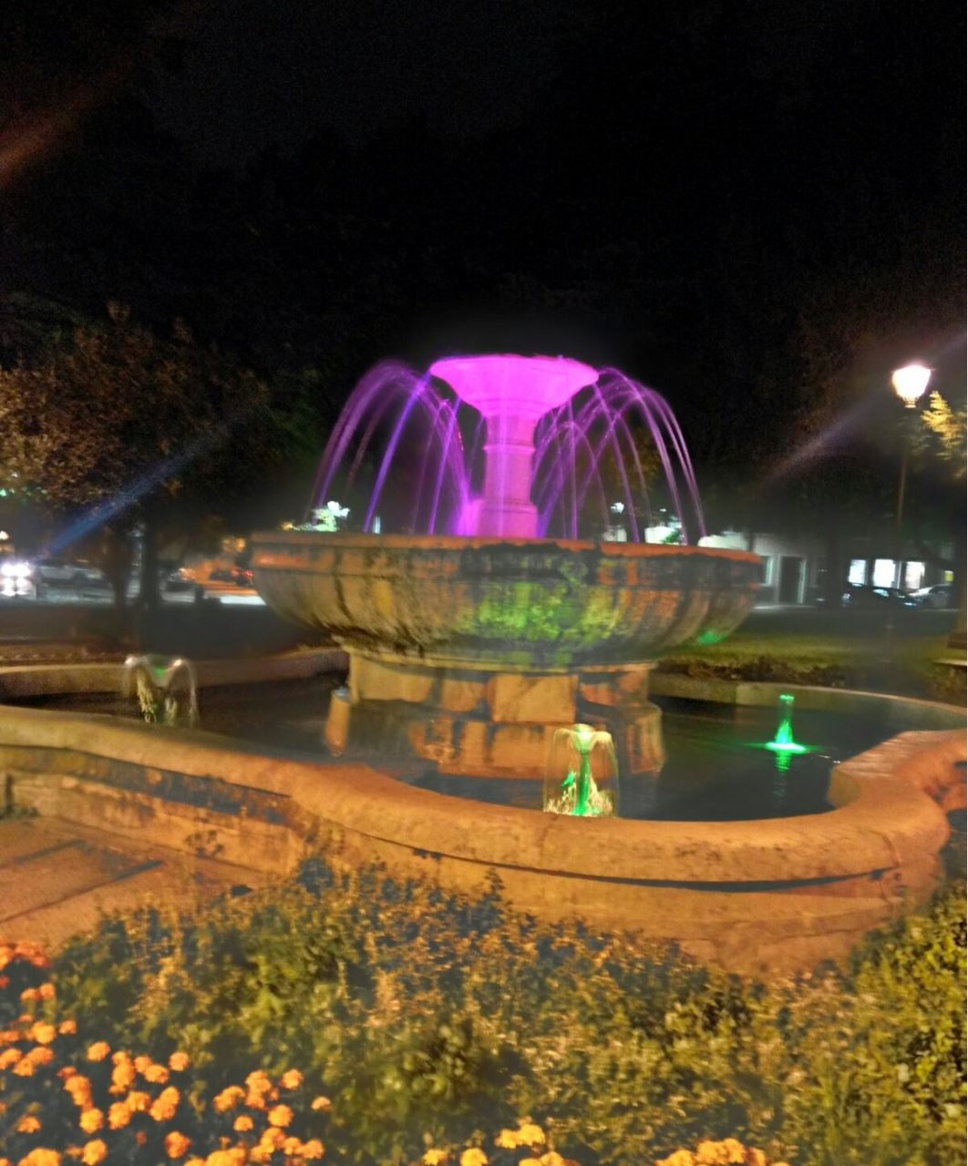 Sommacampagna, una notte in rosa
