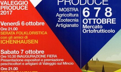 "Valeggio produce", XVII edizione esposizione campionaria
