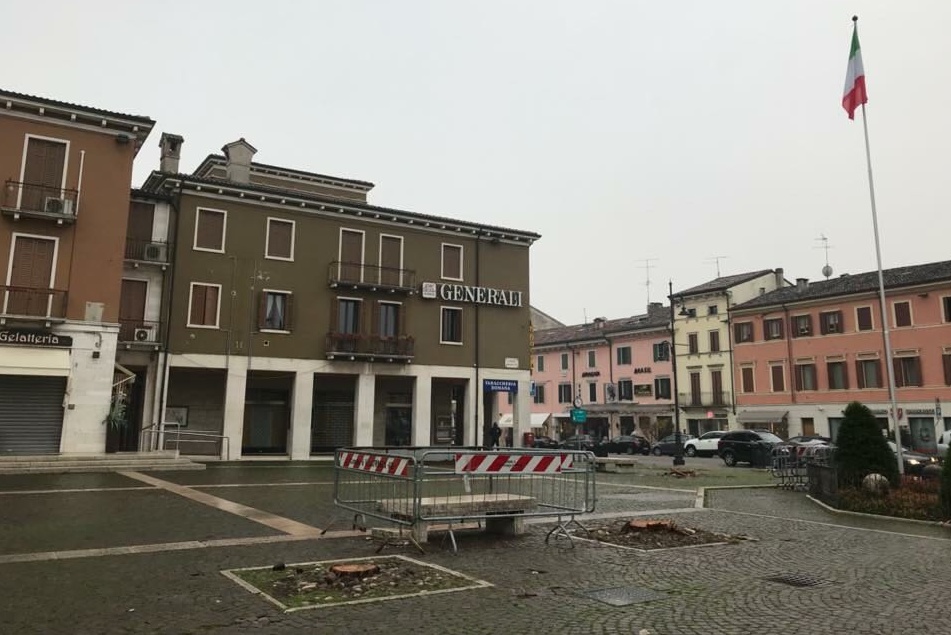 Addio ai nostri pini, che cosa ne pensate?