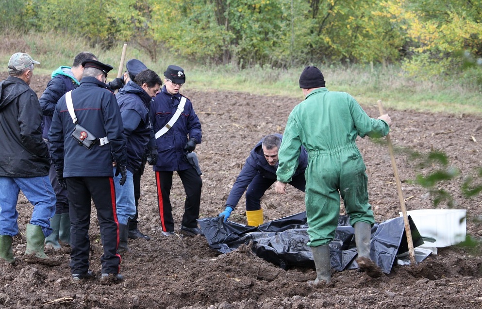 CADAVERE NEL CAMPO, RECUPERATI ARTI E ORECCHIO