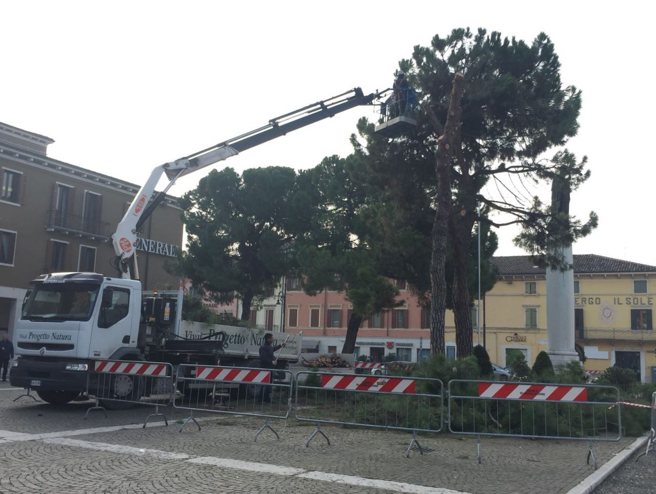 Villafranca, iniziati i lavori di abbattimento dei pini di piazza Giovanni XXIII