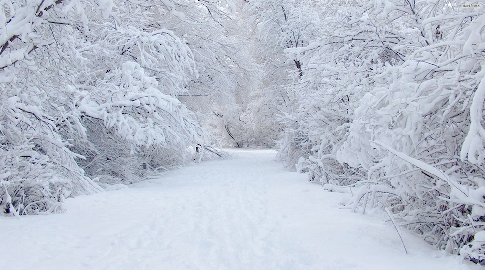 Previste nevicate in Veneto