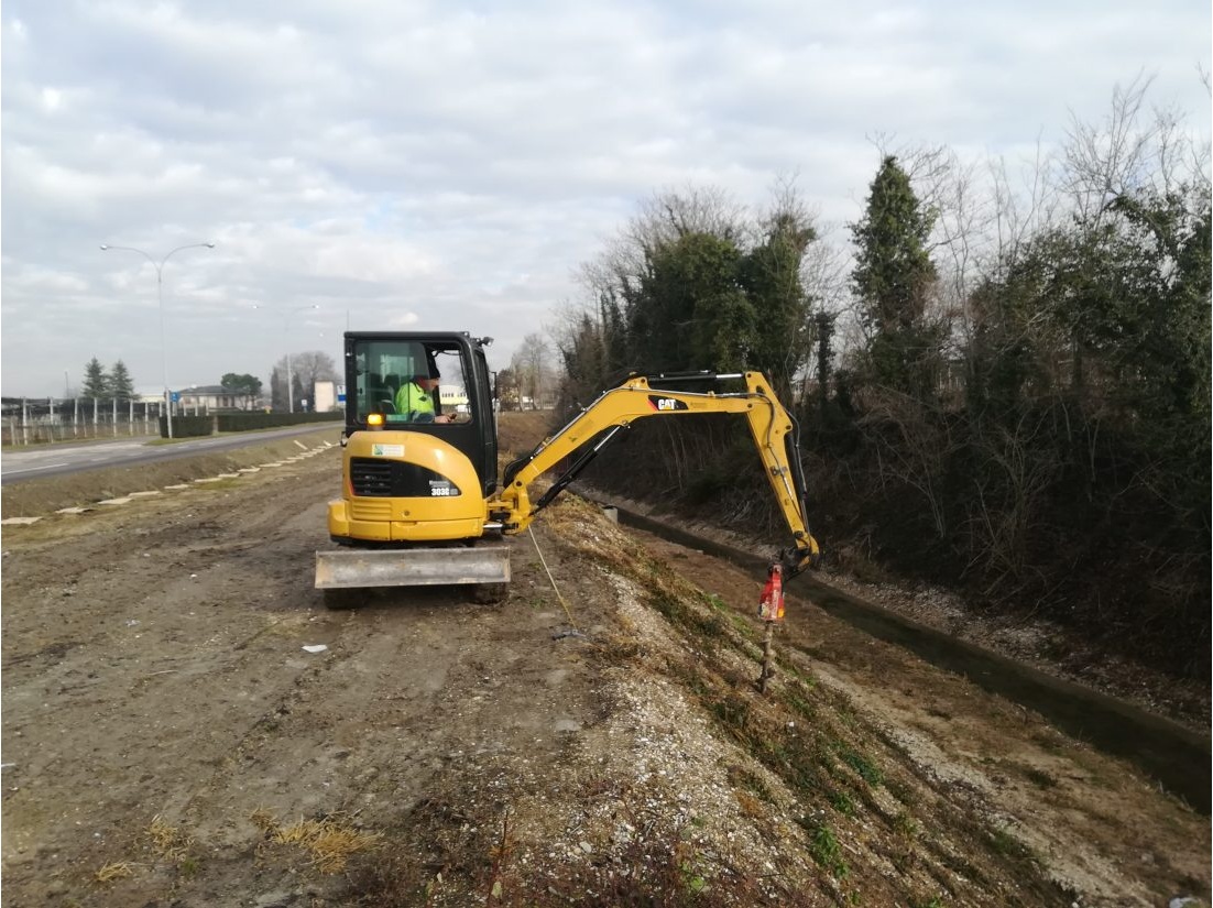 Povegliano, posate 825 piante per la valorizzazione dellarea delle risorgive