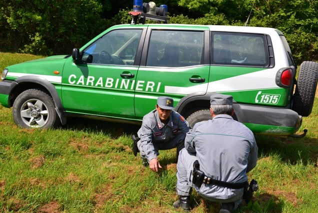 Quasi 90 persone denunciate a Verona nel 2017