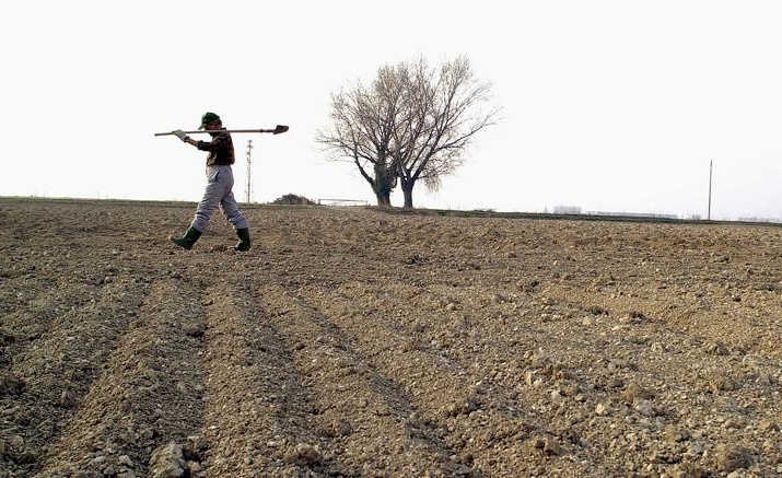 Si chiude un 2017 amaro per l’agricoltura veronese