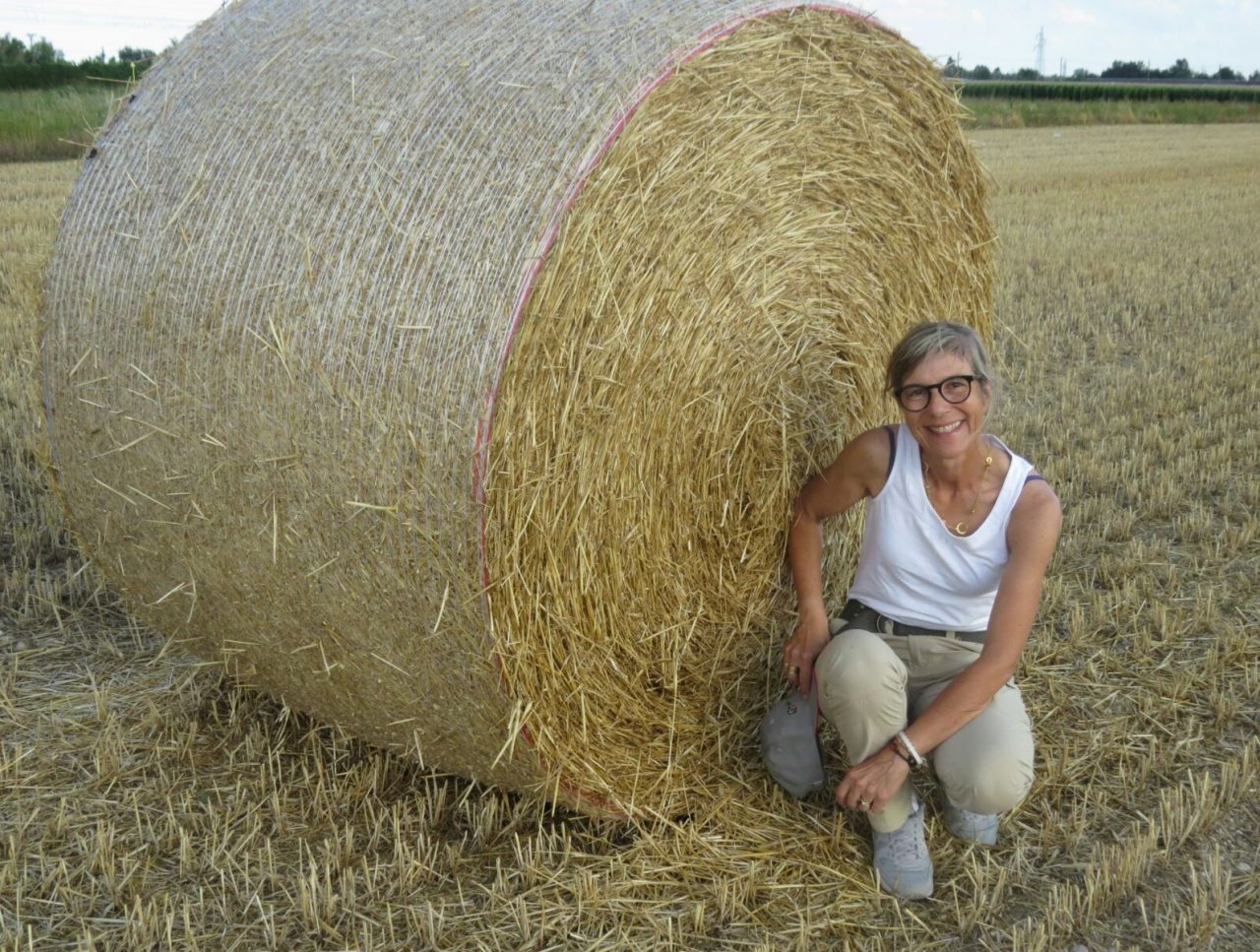 A Verona un’azienda agricola su cinque è condotta da donne