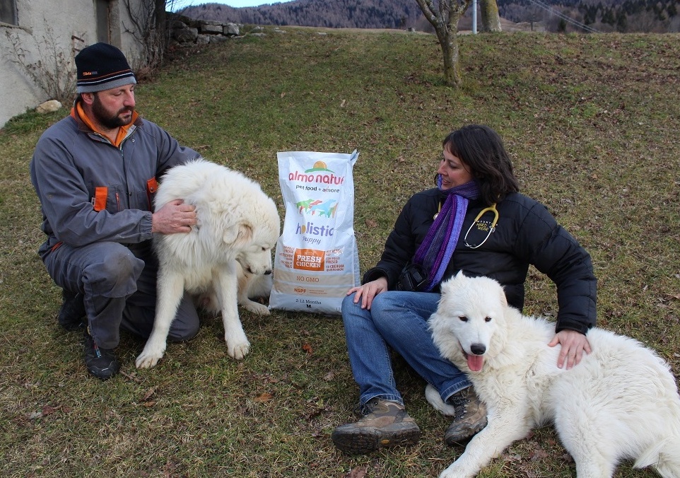 Cani a difesa del gregge e a tutela del lupo