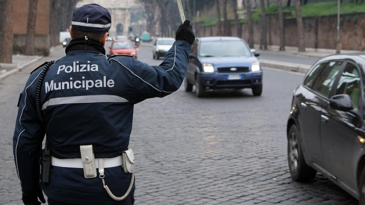 Mortalità su strada in calo a Verona