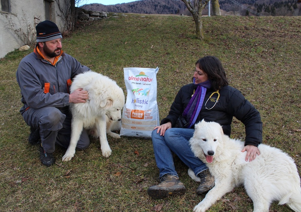 Progetto lupo, la Regione garantirà cibo e cure ai cani pastore